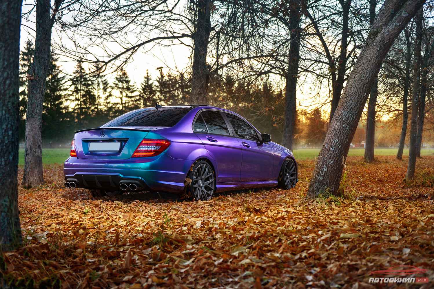 Mercedes Хамелеон